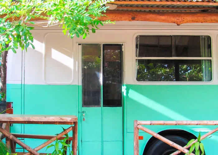 Combi Dream Bird Playas del Coco