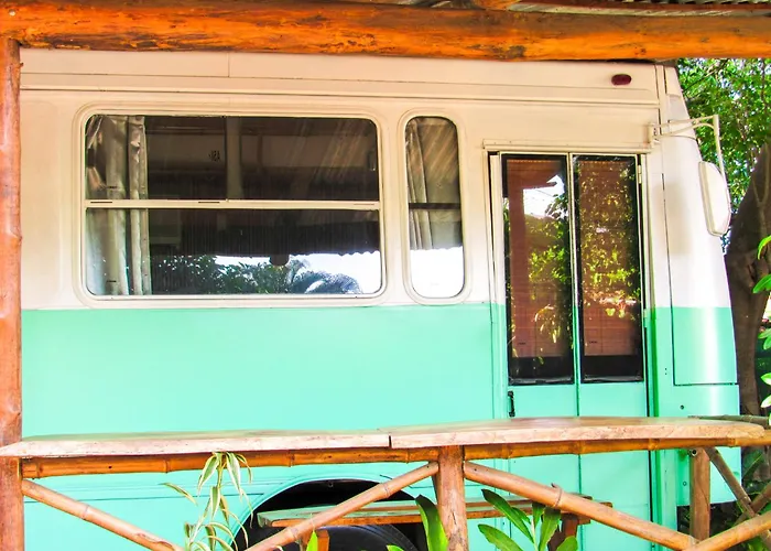 Combi Dream Bird * Playas del Coco