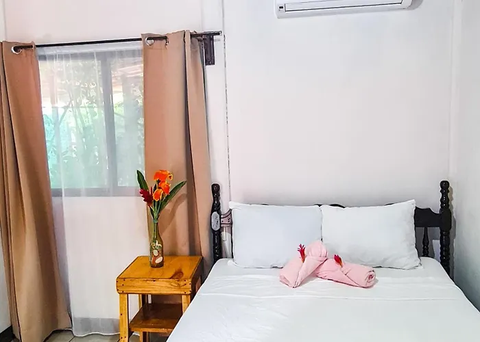 Combi Dream Bird Apartamento *